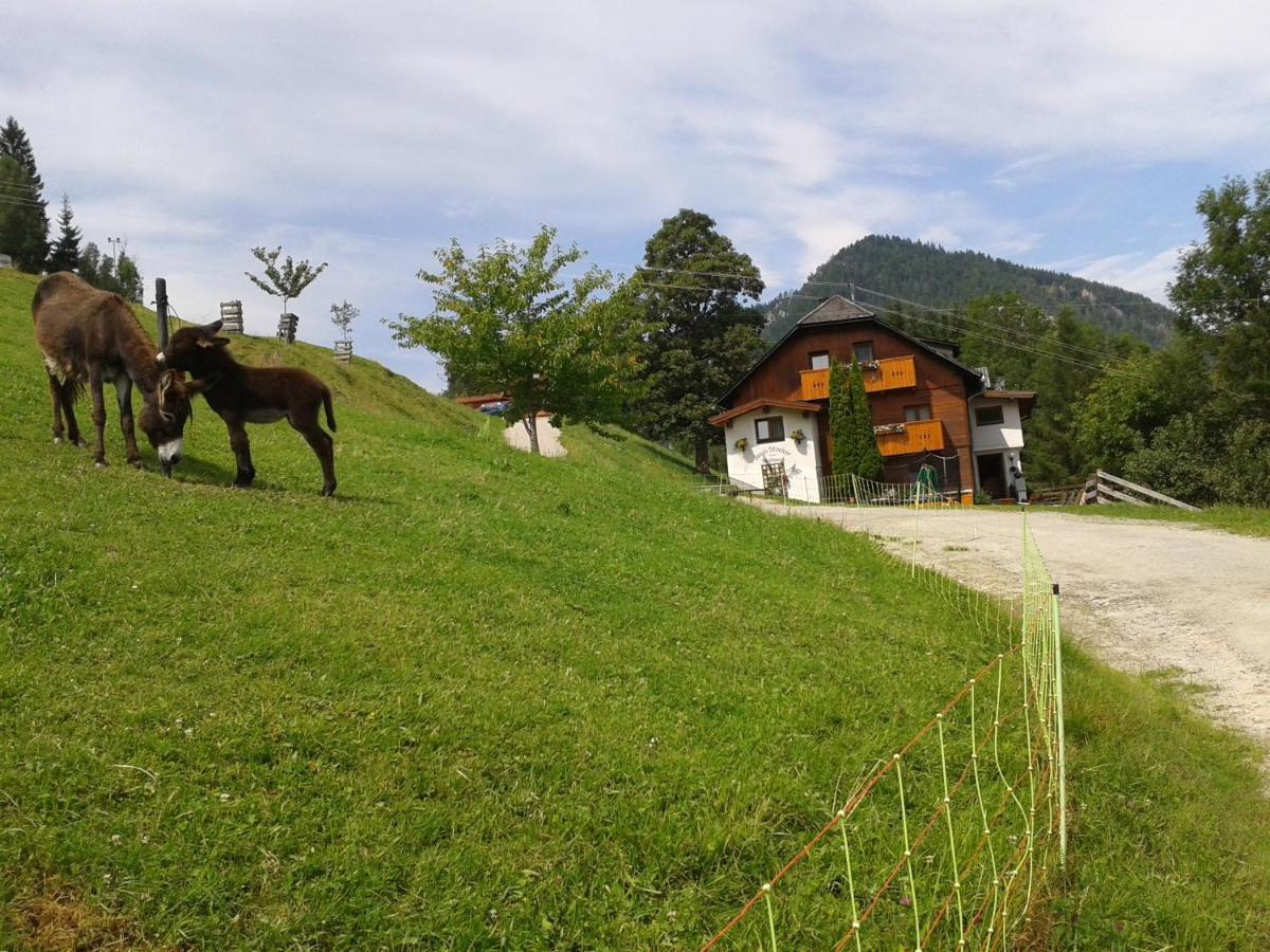 Stallhäusl Schladming Exterior foto