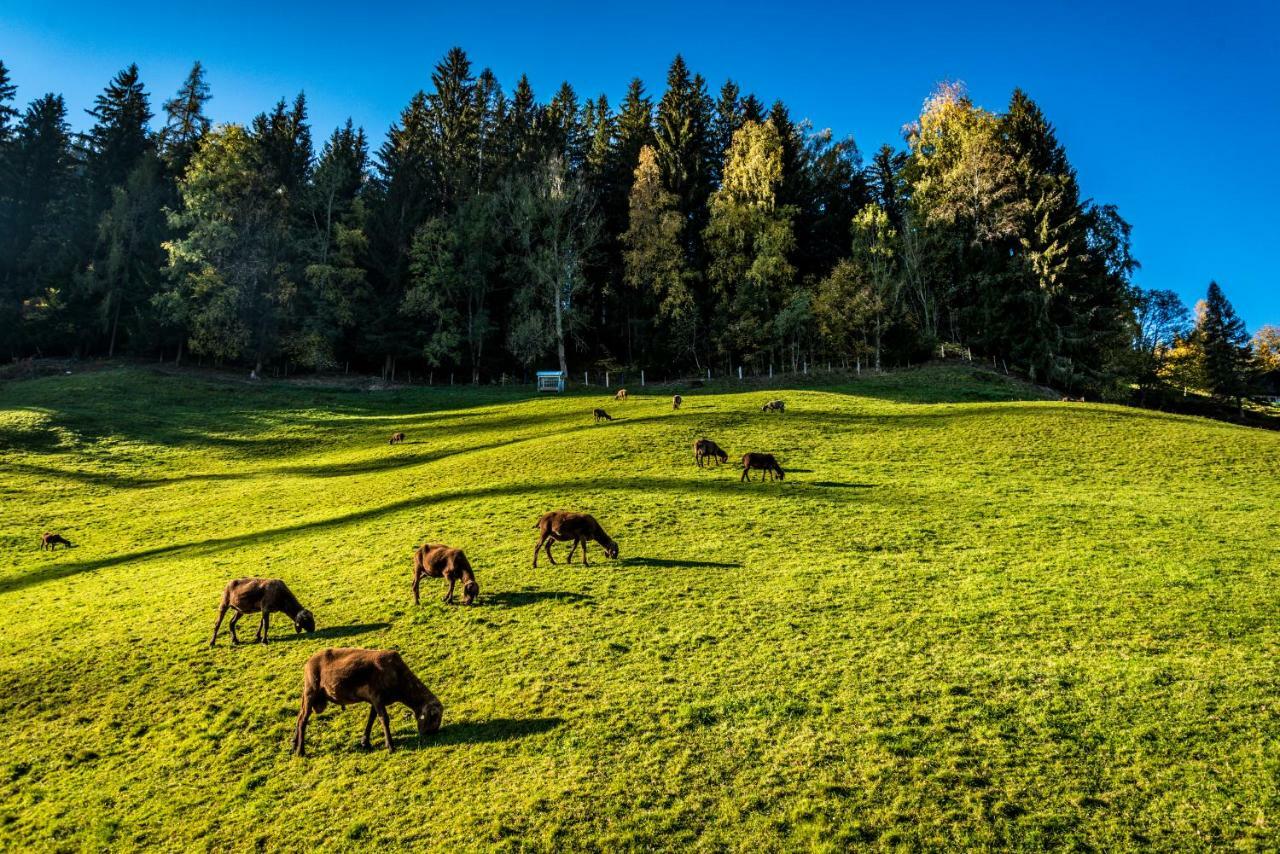 Stallhäusl Schladming Exterior foto