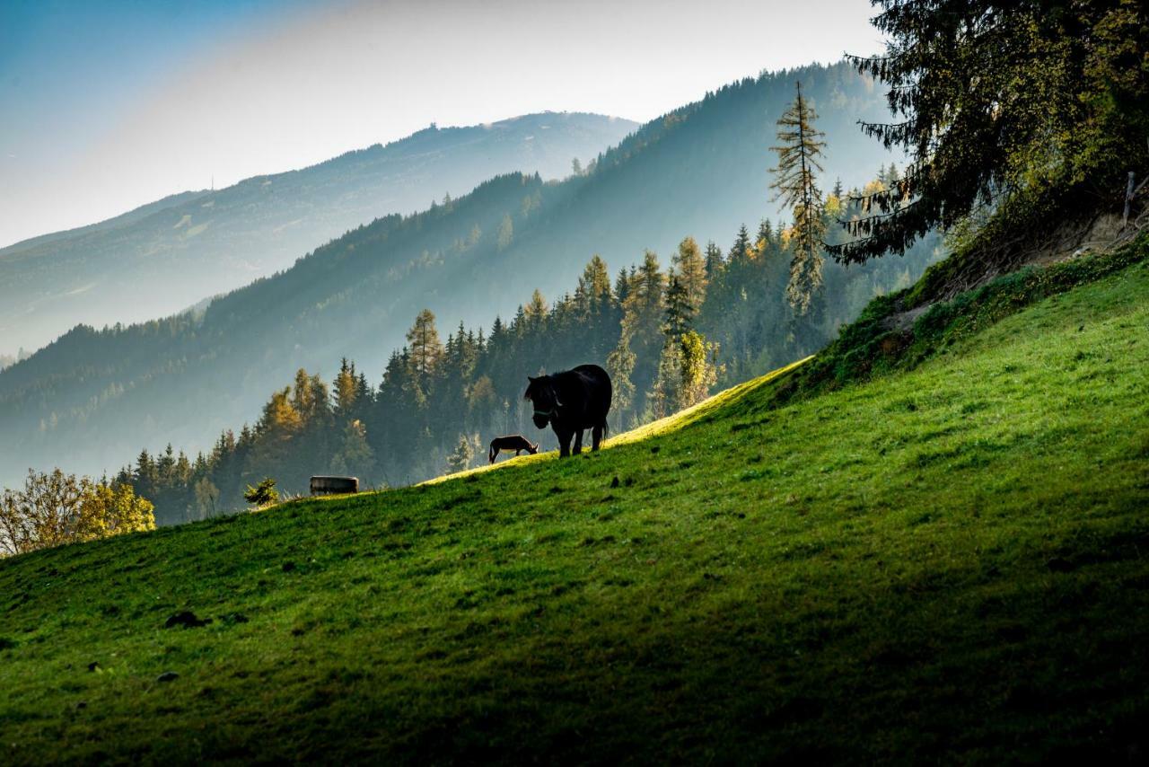 Stallhäusl Schladming Exterior foto